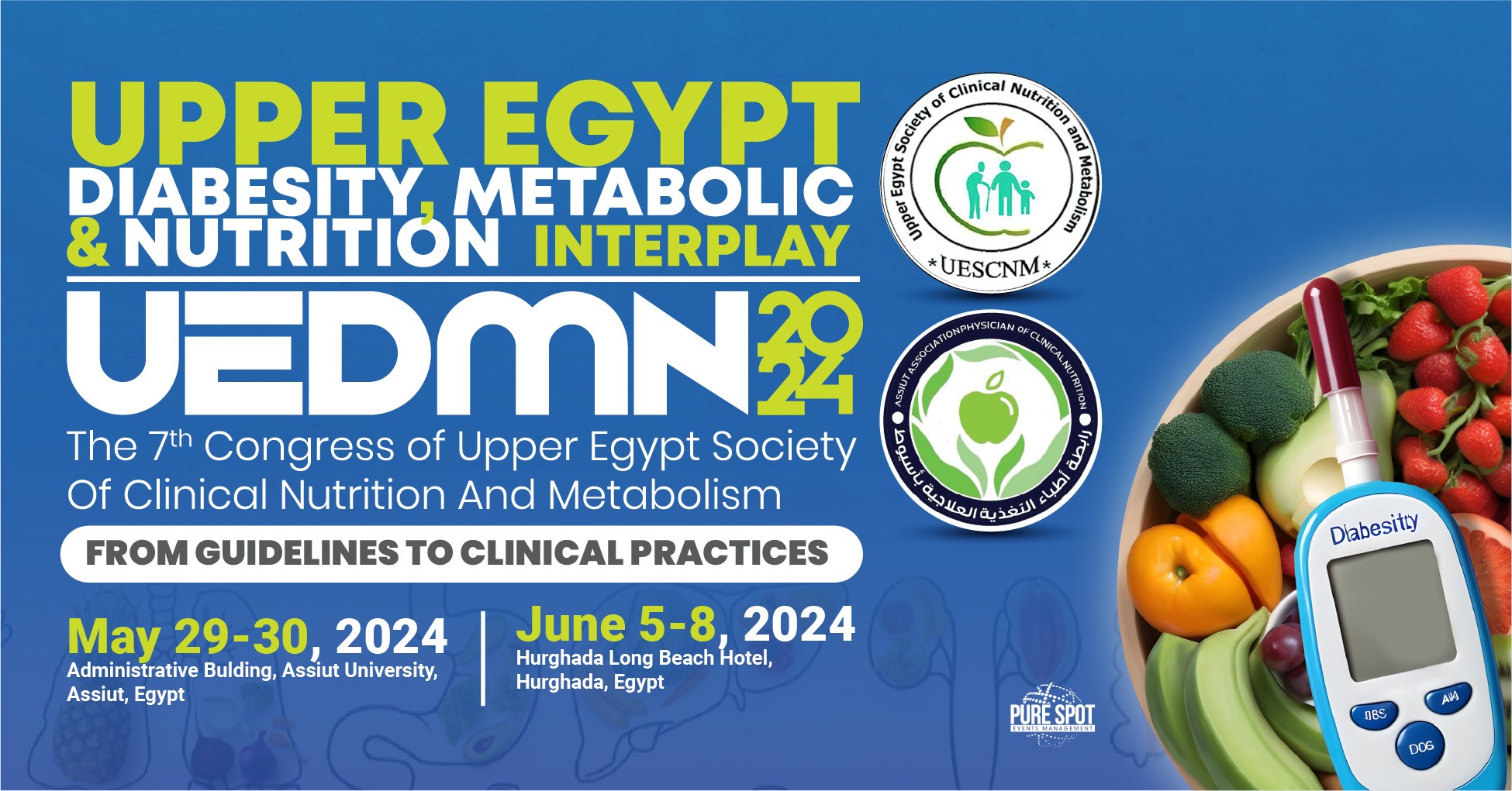 Upper Egypt Diabesity, Metabolic, and Nutrition Interplay (UEDMN) 2024 