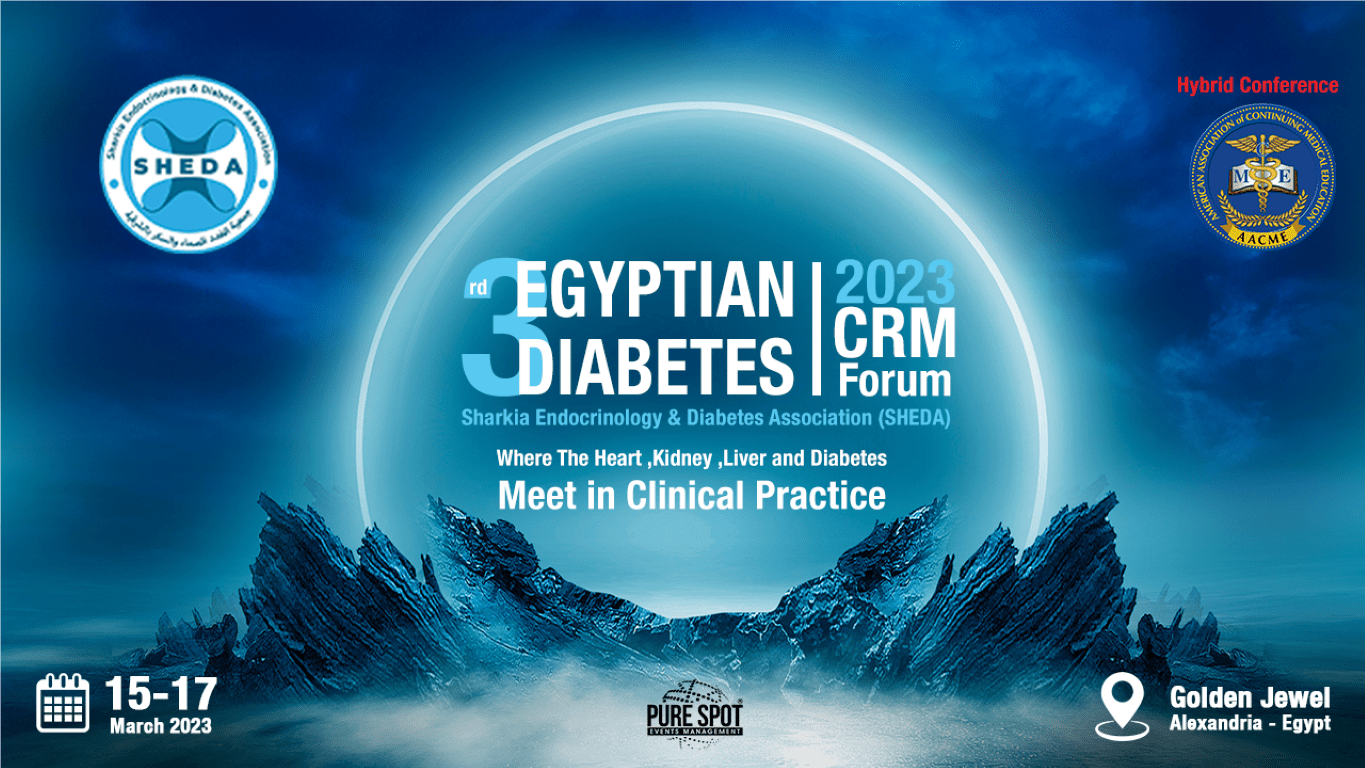 3rd Annual Hybrid Conference CRM - SHEDA