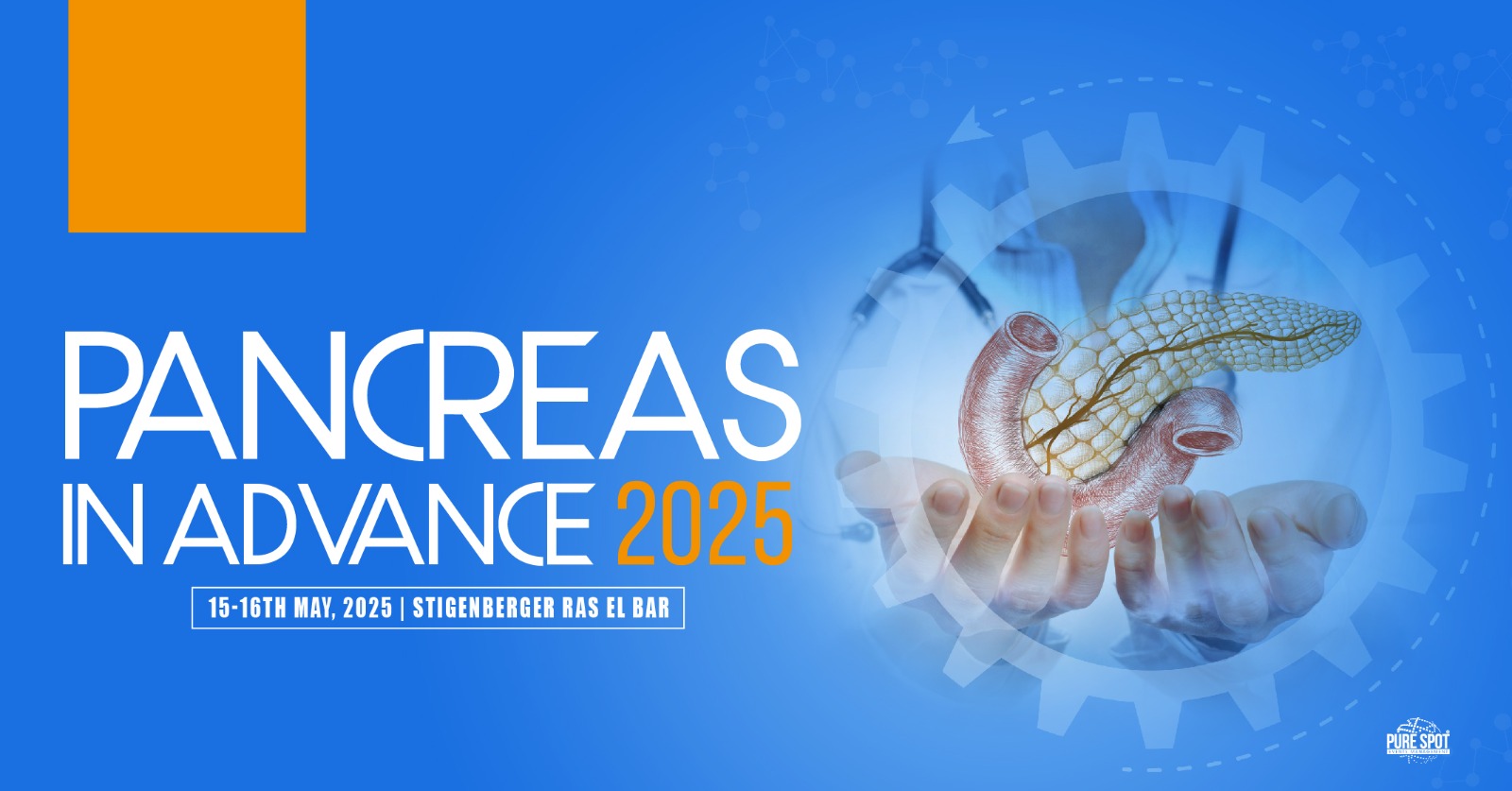 Pancreas in Advance 2025