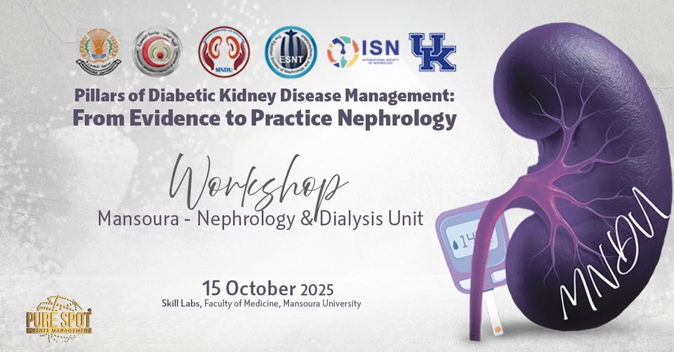 Pillars of Diabetic Kidney Disease Management: From Evidence to Practice Nephrology